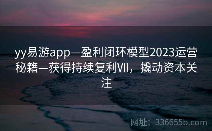 yy易游app—盈利闭环模型2023运营秘籍—获得持续复利Ⅶ，撬动资本关注