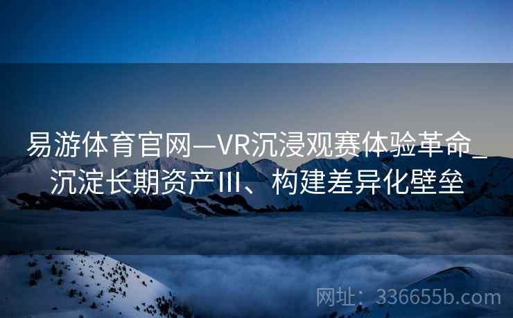 易游体育官网—VR沉浸观赛体验革命_沉淀长期资产Ⅲ、构建差异化壁垒