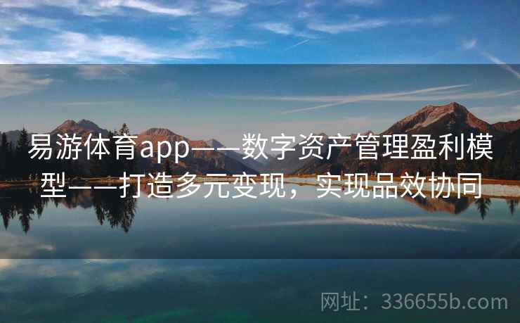 易游体育app——数字资产管理盈利模型——打造多元变现,实现品效协同