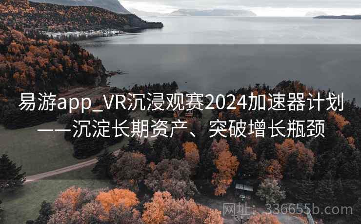 易游app_VR沉浸观赛2024加速器计划——沉淀长期资产、突破增长瓶颈
